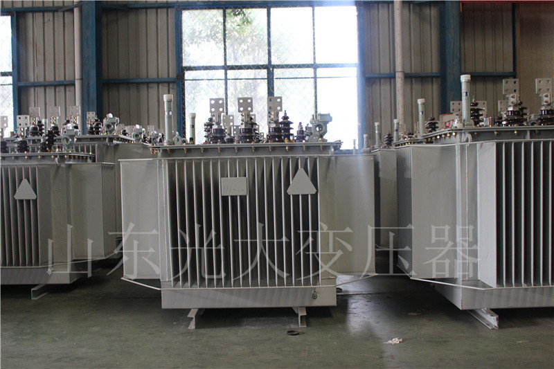 城阳S20-500KVA/10KV